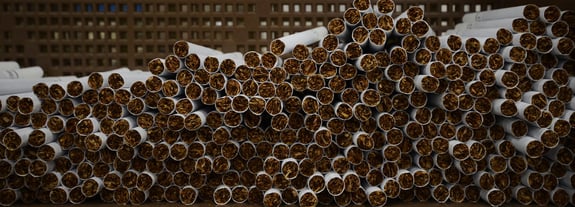 Unlit cigarettes stacked up with the tobacco end showing in the image.