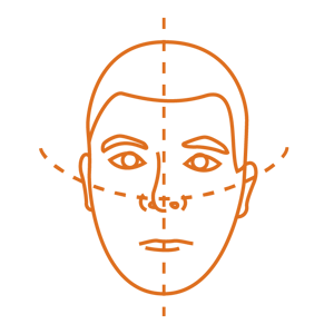 Drawing of a face divided into quadrants with a dotted line.
