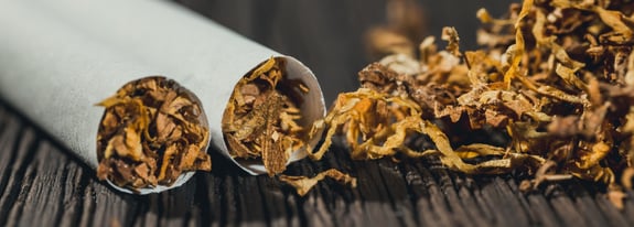 Close up of tobacco at the end of a cigarette.
