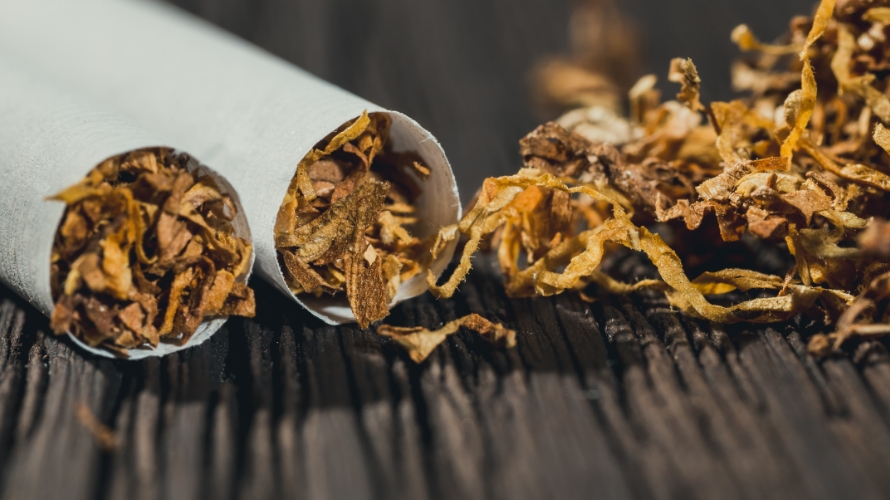 tobacco pic Traditional Tobacco vs. Commercial Tobacco — What are the Differences?